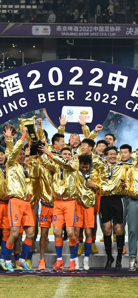 中国足协杯